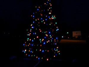 Lighting of the Tree
